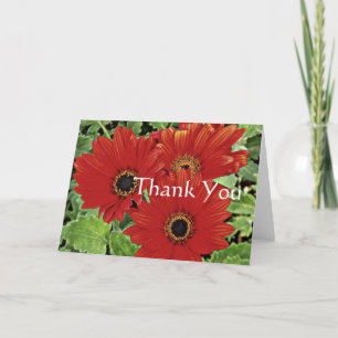 Drie bloemen in rood, bedankt