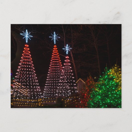 Drie bomen in het Briefkaart Midtown (Voorkant)