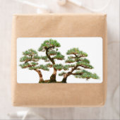 drie bomen met bonsai etiket (Insitu)