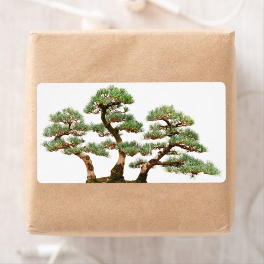 drie bomen met bonsai etiket (Insitu)