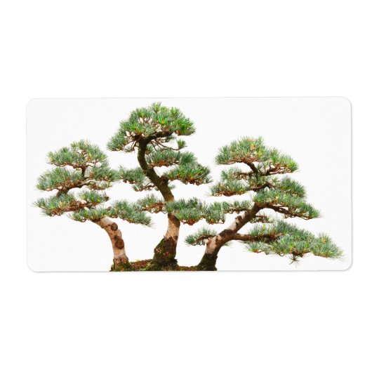drie bomen met bonsai etiket (Voorkant)