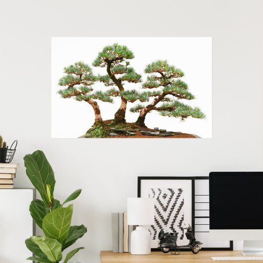 drie bomen met bonsai poster (Thuiskantoor)