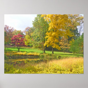 DRIE BOMEN: ROZE ROOD; GOUDGEEL; LIMOEN GROEN POSTER