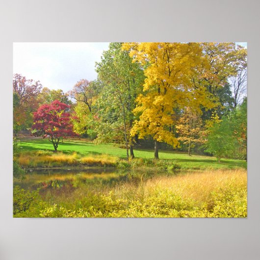 DRIE BOMEN: ROZE ROOD; GOUDGEEL; LIMOEN GROEN POSTER (Voorkant)