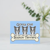 Drie Boston Terriers Briefkaart (Staand voorkant)