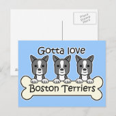Drie Boston Terriers Briefkaart (Voorkant / Achterkant)