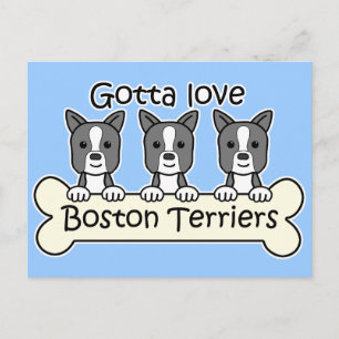 Drie Boston Terriers Briefkaart