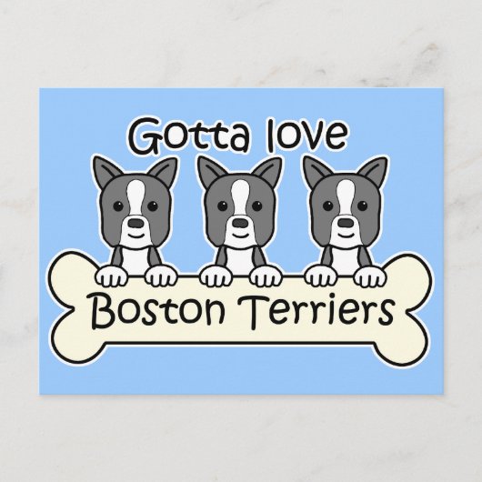 Drie Boston Terriers Briefkaart (Voorkant)