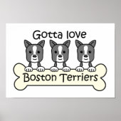 Drie Boston Terriers Poster (Voorkant)