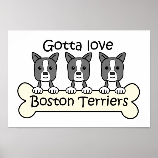 Drie Boston Terriers Poster (Voorkant)