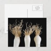 Drie bosuien briefkaart (Voorkant / Achterkant)