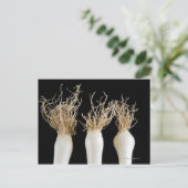 Drie bosuien briefkaart (Staand voorkant)