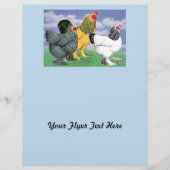 Drie Brahmas Flyer (Voorkant)