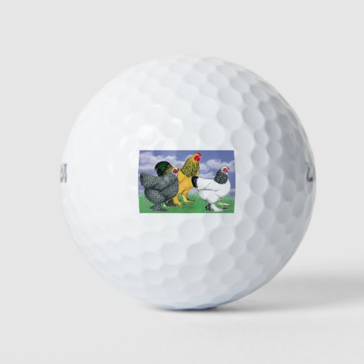Drie Brahmas Golfballen (Voorkant)