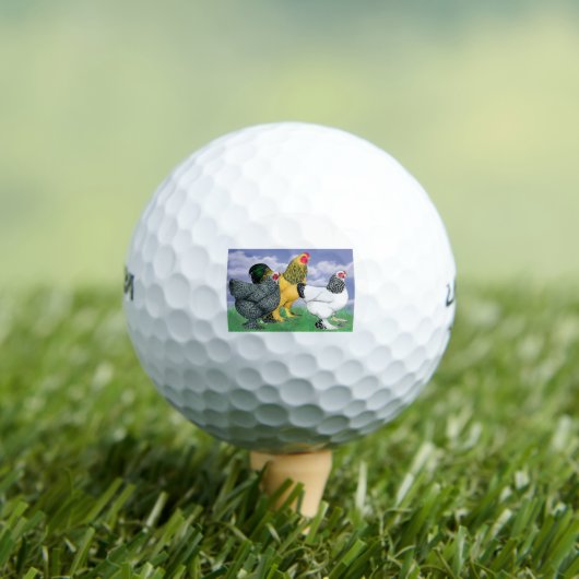Drie Brahmas Golfballen (Insitu Shirt)