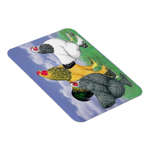 Drie Brahmas Magneet (Rechterzijde)