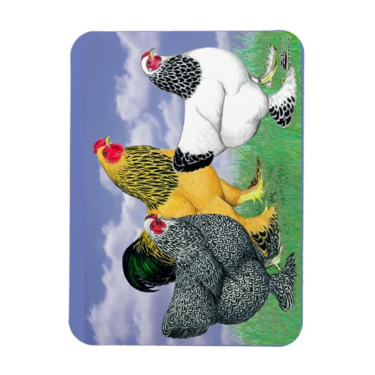 Drie Brahmas Magneet (Verticaal)