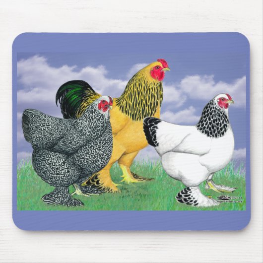 Drie Brahmas Muismat (Voorkant)