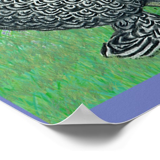 Drie Brahmas Poster (Hoek)