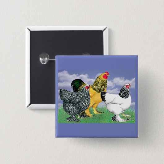 Drie Brahmas Vierkante Button 5,1 Cm (Voorkant /achterkant)