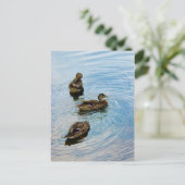 Drie Briefkaart (Staand voorkant)