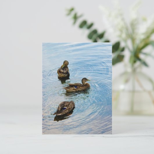 Drie Briefkaart (Staand voorkant)