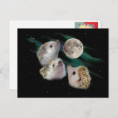 Drie Briefkaart van de Moon (Voorkant / Achterkant)