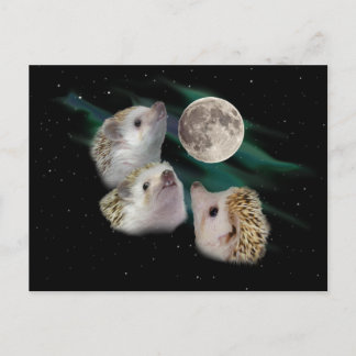 Drie Briefkaart van de Moon