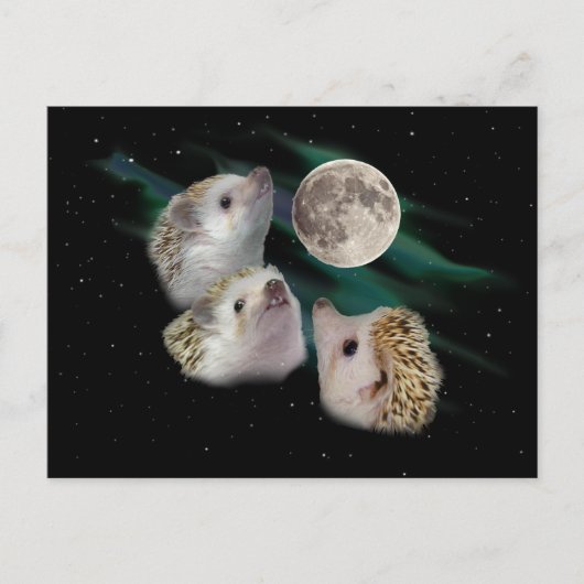 Drie Briefkaart van de Moon (Voorkant)