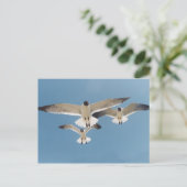 Drie Briefkaarten (Staand voorkant)