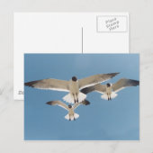 Drie Briefkaarten (Voorkant / Achterkant)