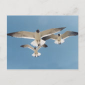 Drie Briefkaarten (Voorkant)