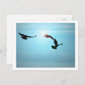 Drie Briefkaarten (Voorkant / Achterkant)