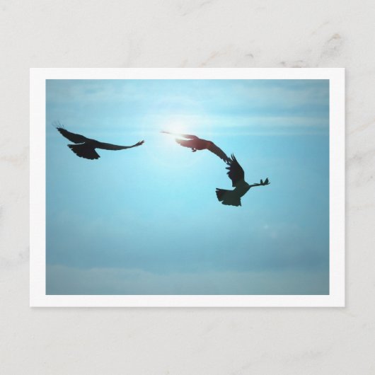 Drie Briefkaarten (Voorkant)