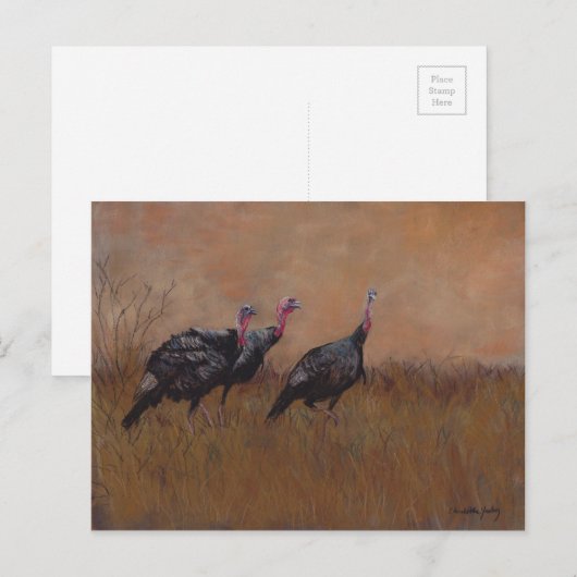 Drie Briefkaarten voor het Wildlife Art (Voorkant / Achterkant)