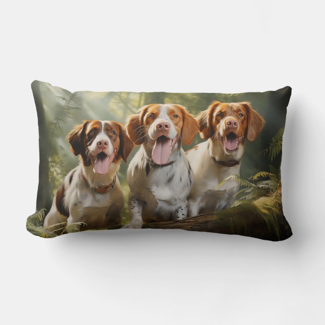 Drie Brittany Spaniel Kussen (Voorkant)