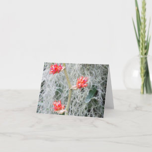 drie bromelia bloemen aan steel bedankkaart