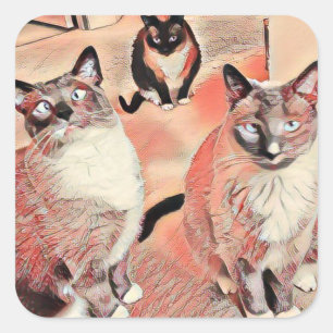 Drie Brothers Sticker