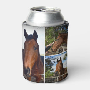 Drie bruine paarden, blikjeskoeler