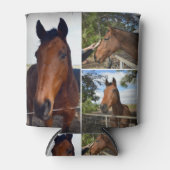 Drie bruine paarden, blikjeskoeler (Voorkant)