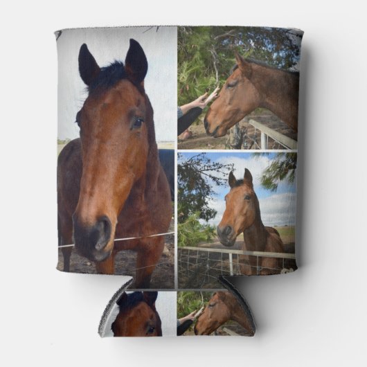 Drie bruine paarden, blikjeskoeler (Voorkant)