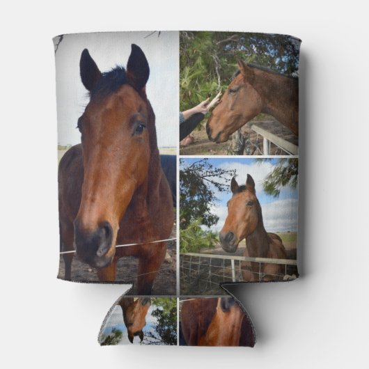 Drie bruine paarden, blikjeskoeler (Achterkant)