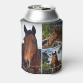 Drie bruine paarden, blikjeskoeler (Blikje Achterkant)