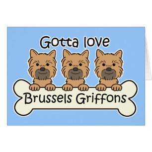 Drie Brusselse Griffons