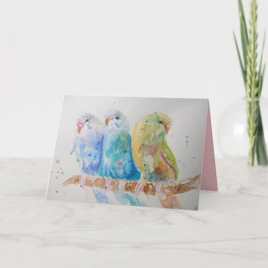 Drie Budgies zittend op een tak cute kaart (Voorkant)
