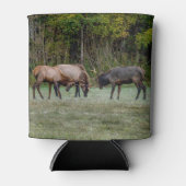 Drie Bull Elk Fight Blikjeskoeler (Voorkant)