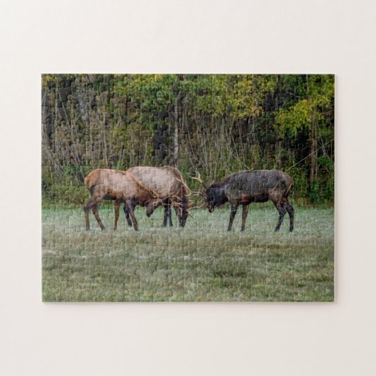 Drie Bull Elk Fight Legpuzzel (Horizontaal)