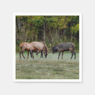 Drie Bull Elk Fight Servet
