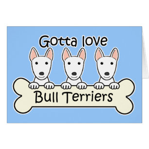 Drie bull Terriers