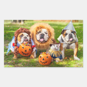 Drie Bulldogs in Verkleed Kostuum Rechthoekige Sticker